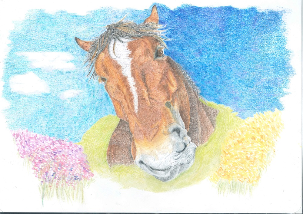 ばん馬の絵コンテスト受賞作発表 一般の部 とかち馬文化を支える会blog